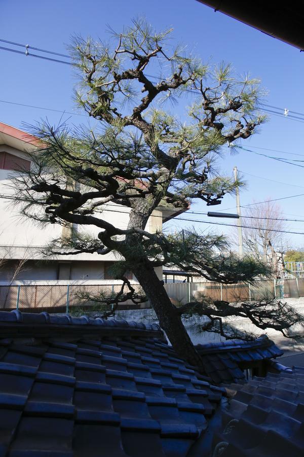 京都Matsuharu Ann别墅 外观 照片